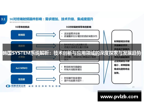 韩国SYSTEM系统解析：技术创新与应用领域的深度探索与发展趋势